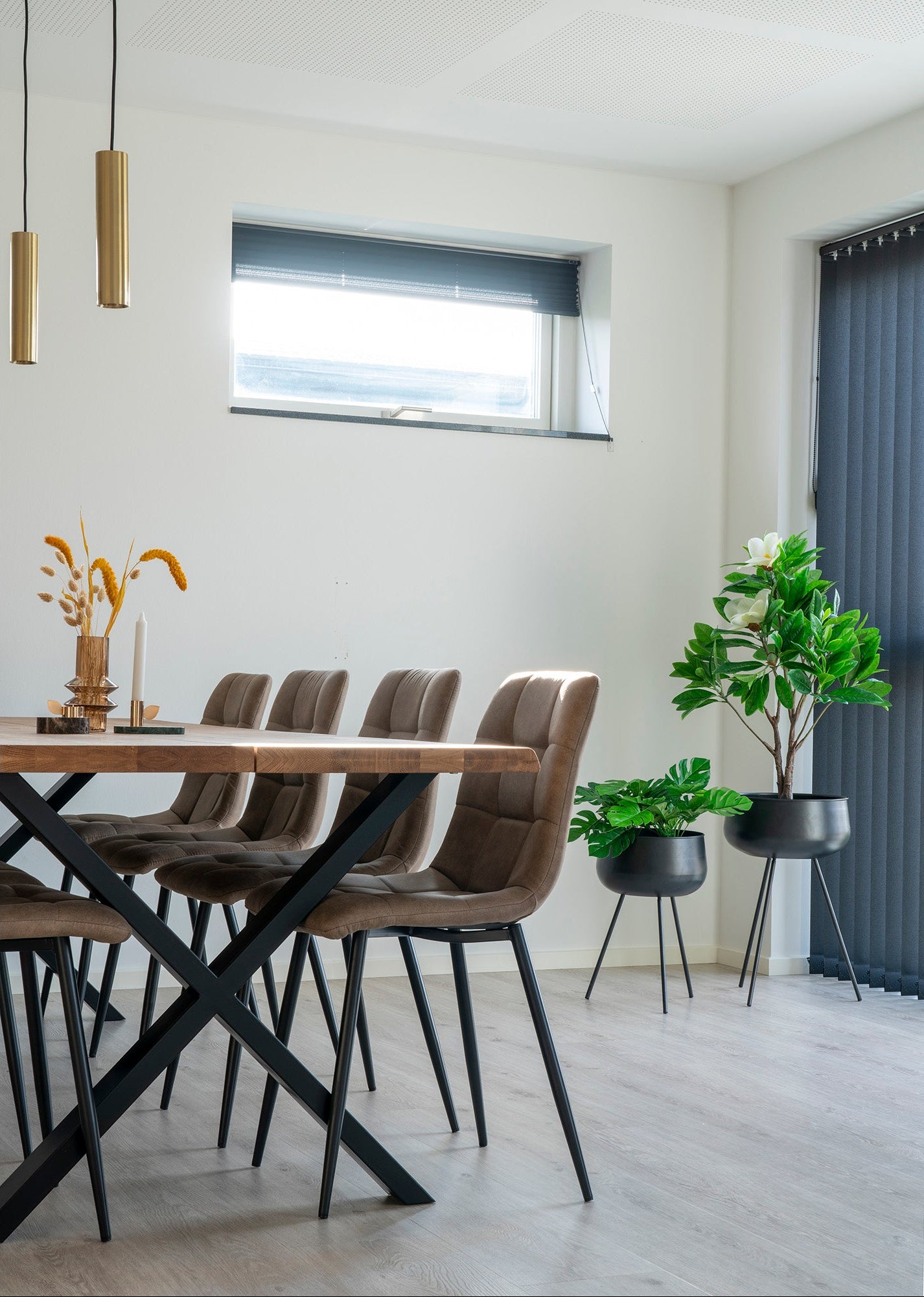 Middelfart Matstol – Ljusbrun Sammet