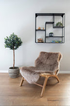 Derby Stol – Natur