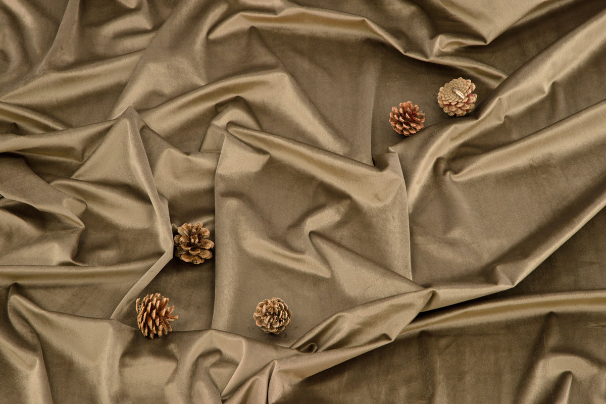 Mary Gardiner 250 × 135