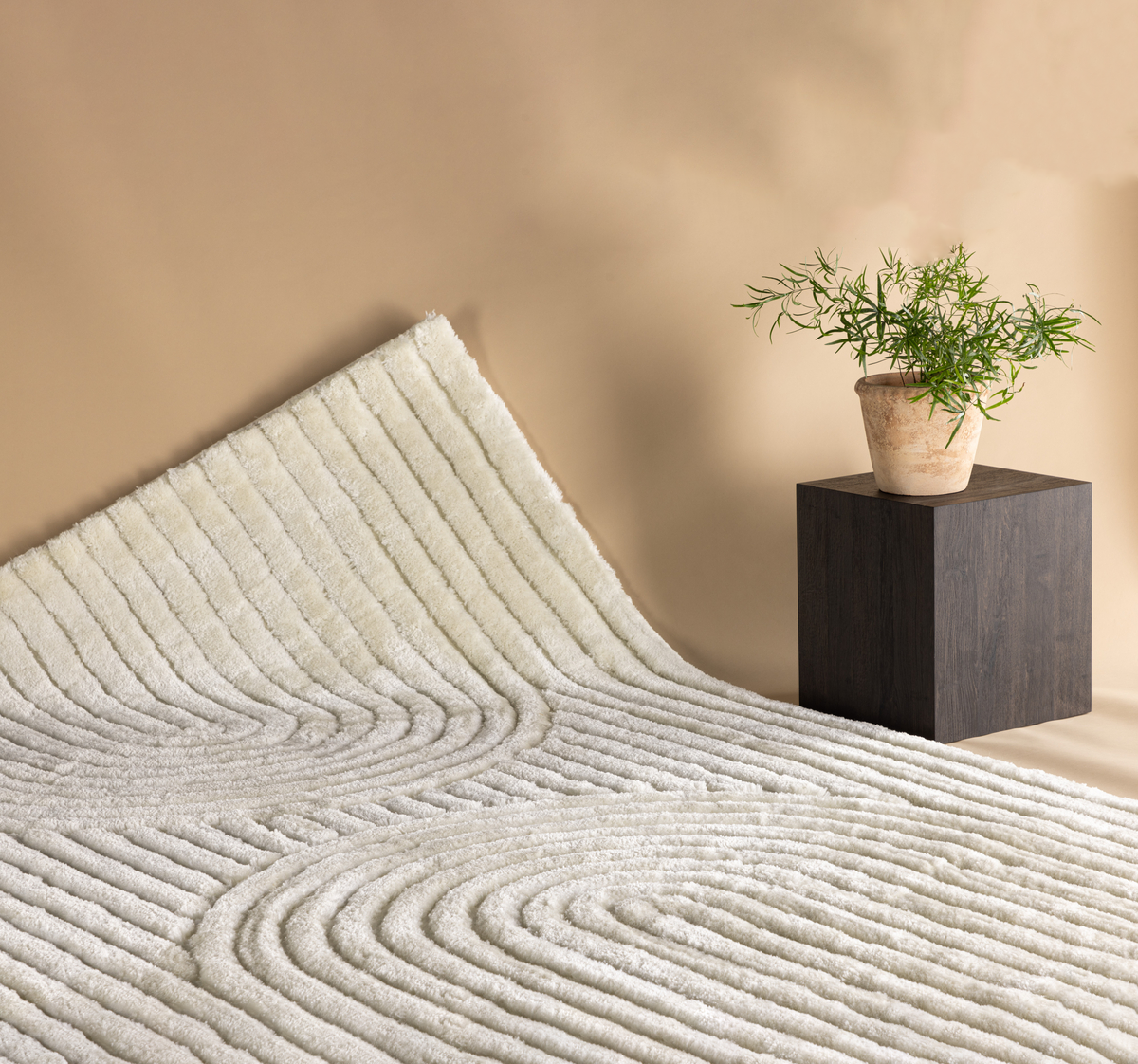 Niklas Rektangulära Mattor 290 × 200 Vit