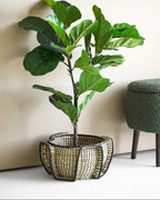 Medan Korg – Natur / Svart