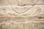 Trondheim x Josefin Lustig Rektangulära Matta 300 x 200 Beige