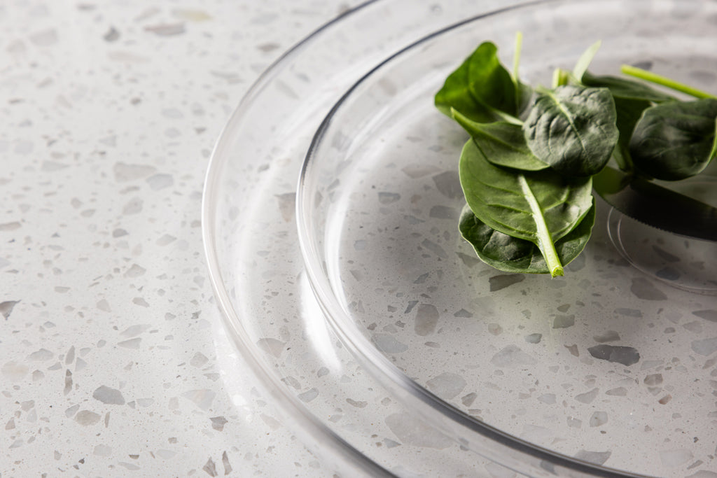 Shine Tallrikar ⌀21 2-pack Klar