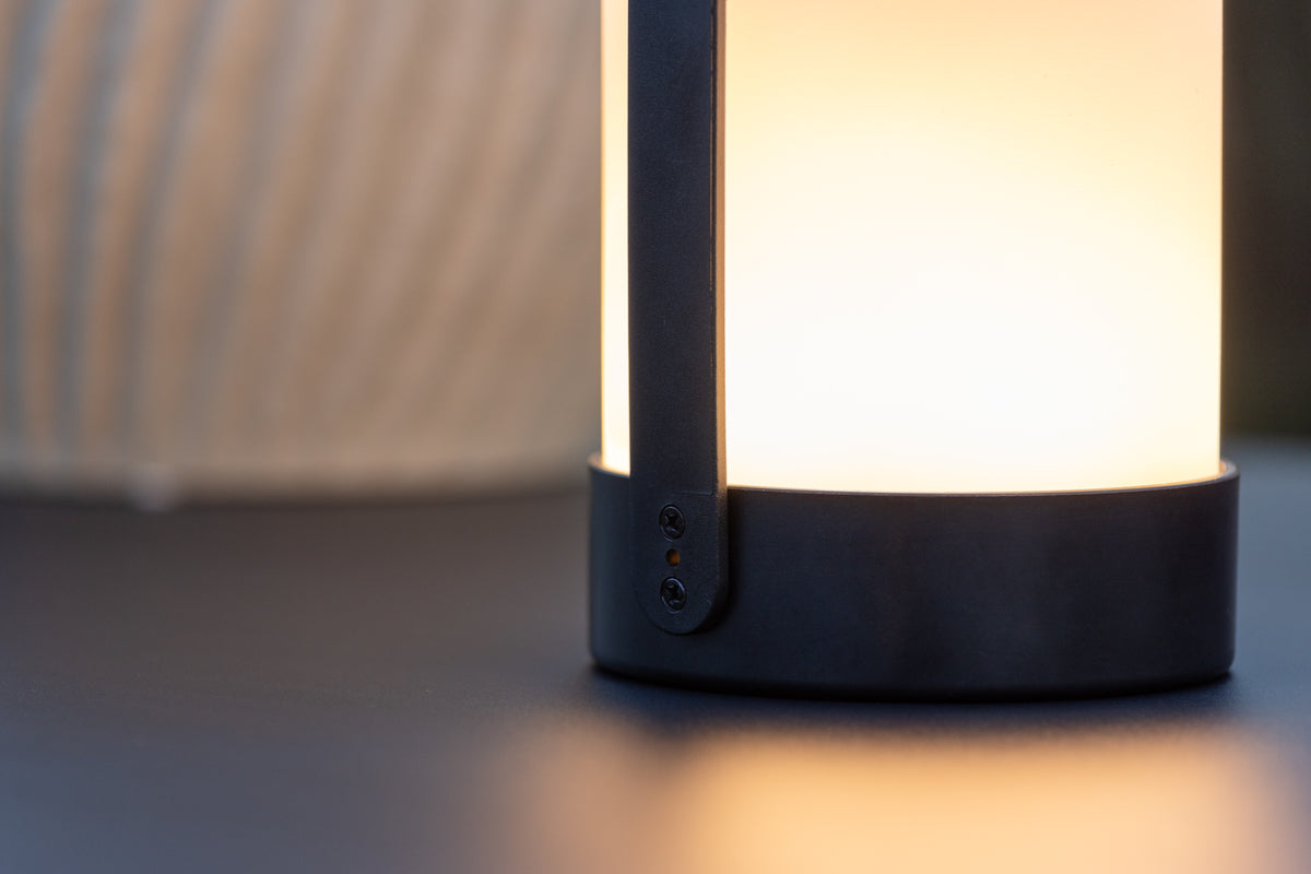 Fern Bordslampa