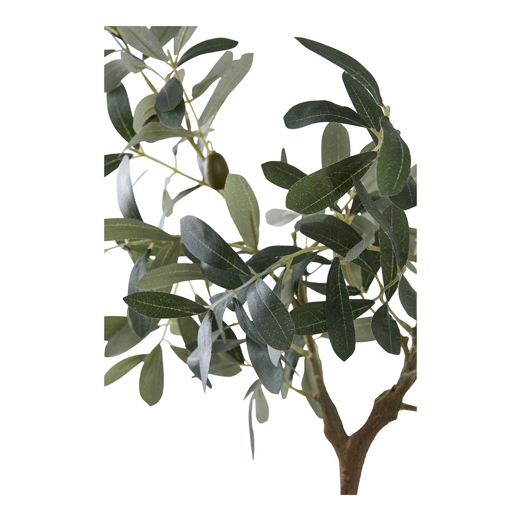 Olivträd – Konstväxt 36.5cm