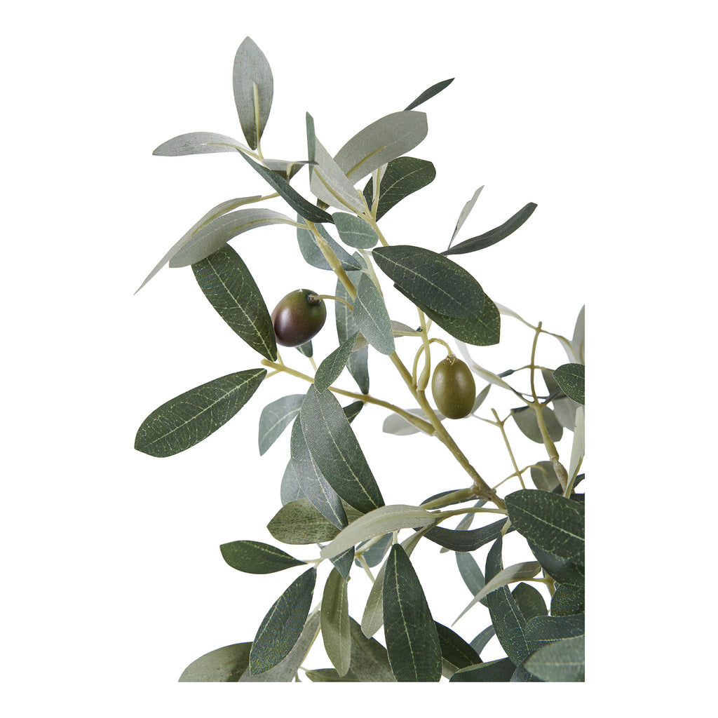 Olivträd – Konstväxt 36.5cm