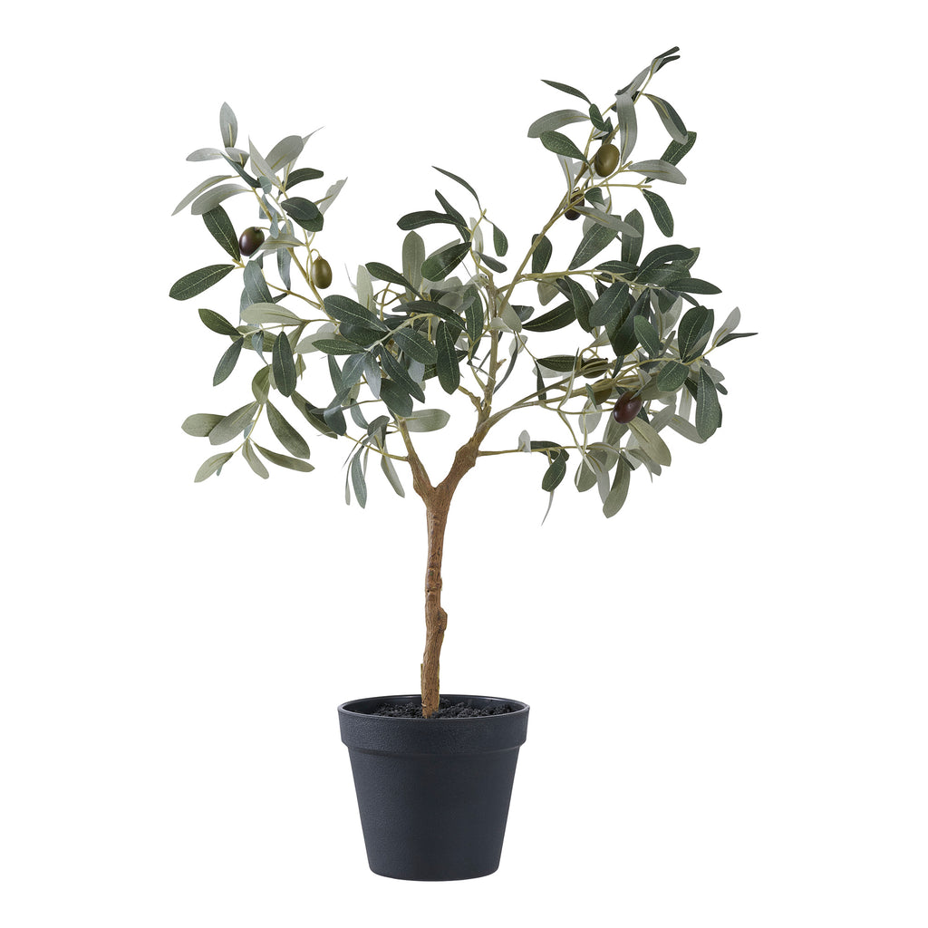 Olivträd – Konstväxt 36.5cm