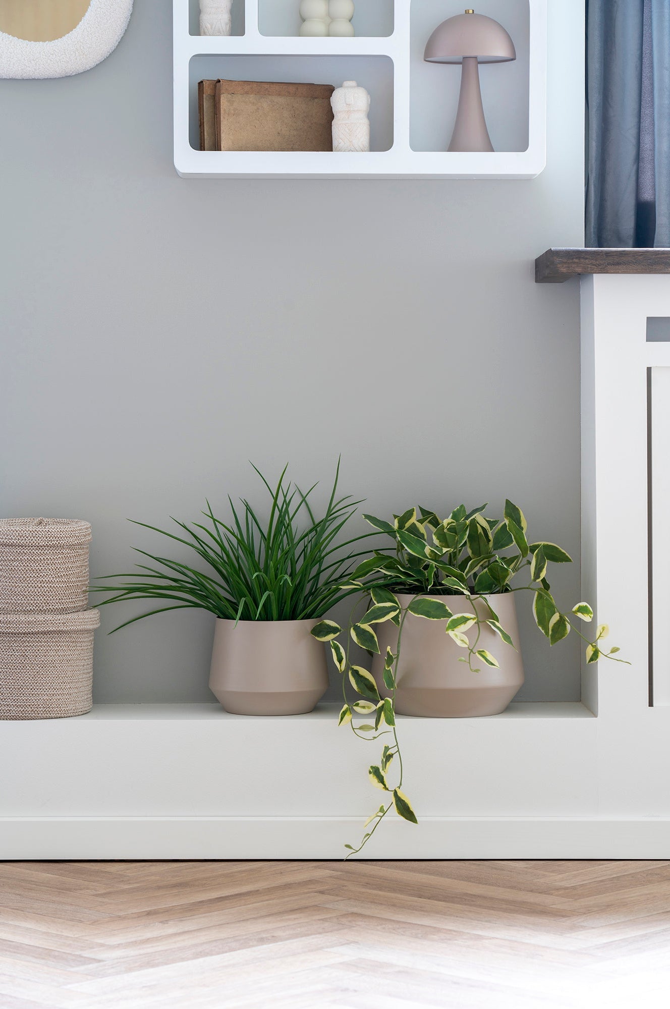 Gräsväxt – Konstväxt