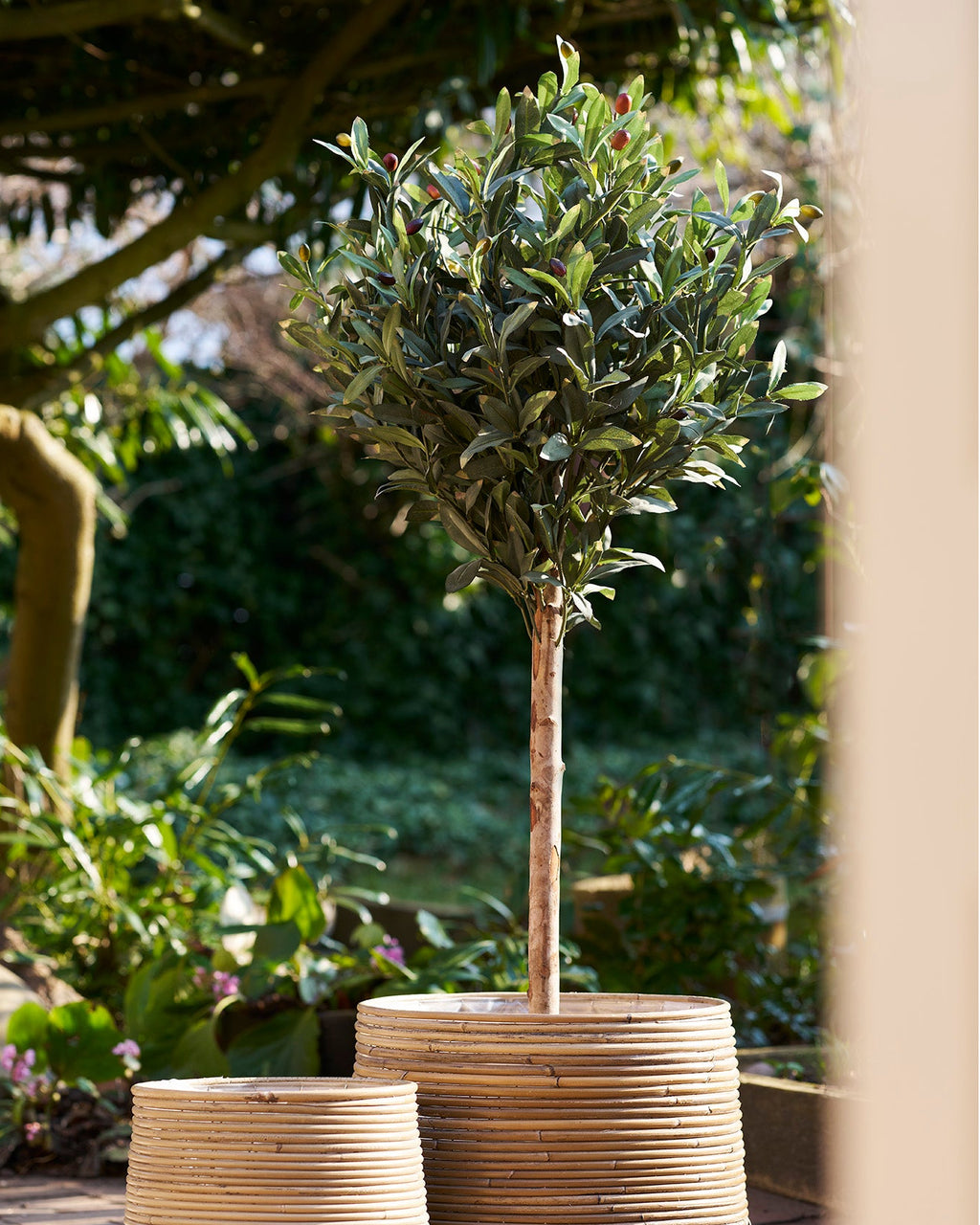 Olivträd – Konstträd 120cm