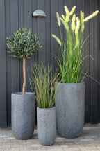 Olivträd – Konstträd 120cm