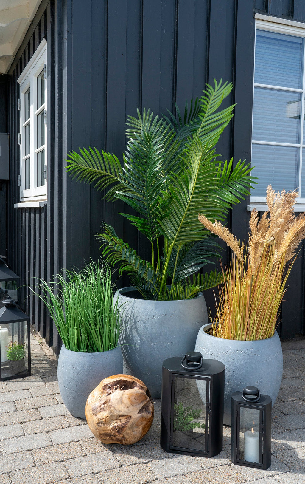 Poa Gräs – Konstväxt