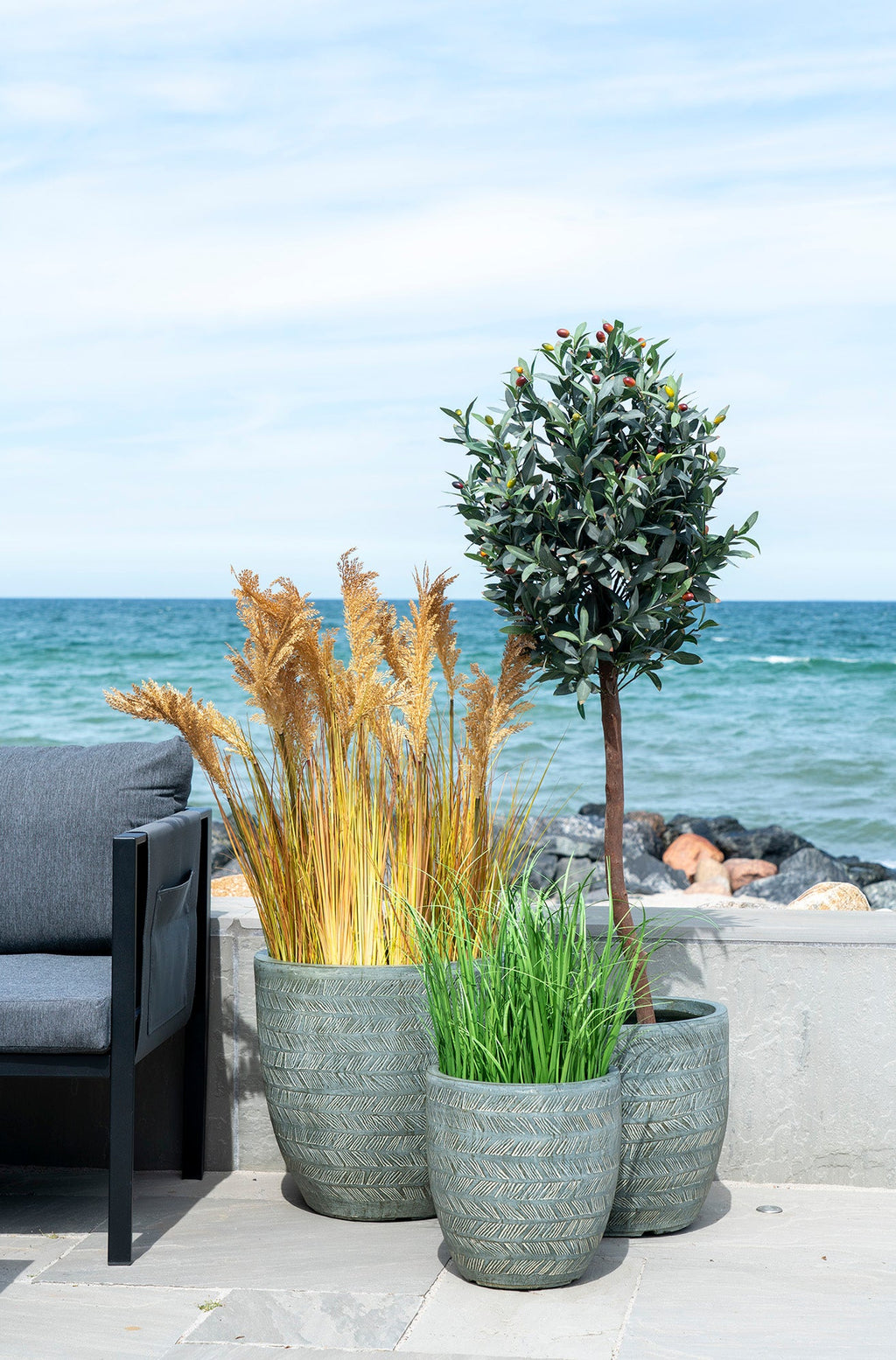 Poa Gräs – Konstväxt