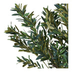 Olivträd – 220cm x 110cm