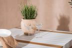 Togo & Lindos Matbord 150x90 Vit + Matstolar 4-pack Brun