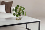 Estelle Soffbord 120x60 – Vit Marmor